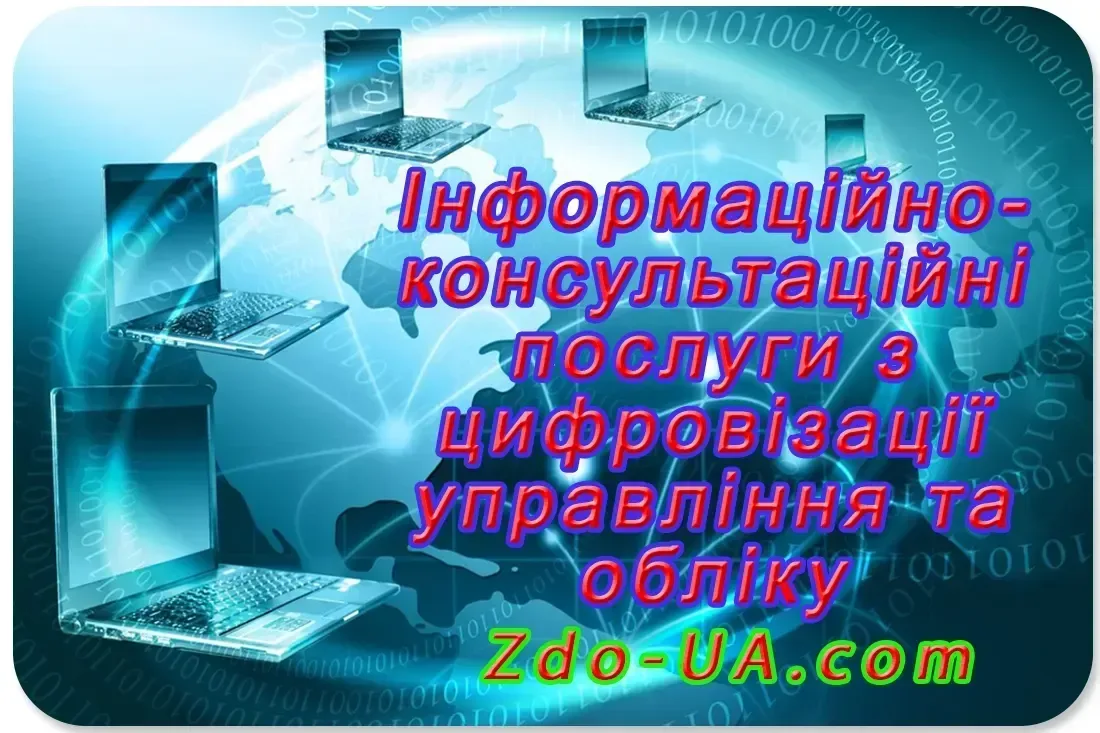 Інформаційно-консультаційні послуги в цифровізації управління та обліку
